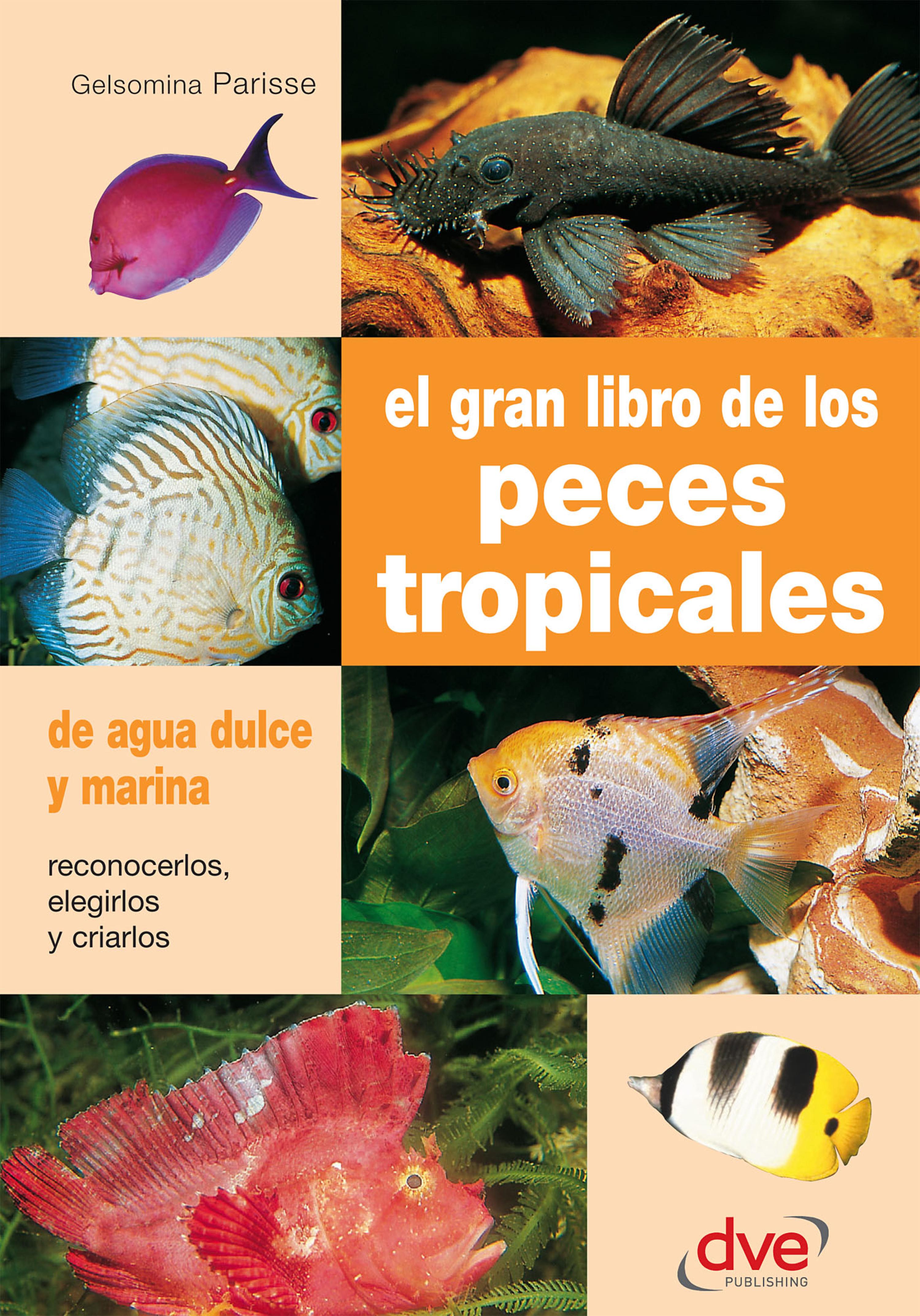 Cover image for El gran libro de los peces tropicales