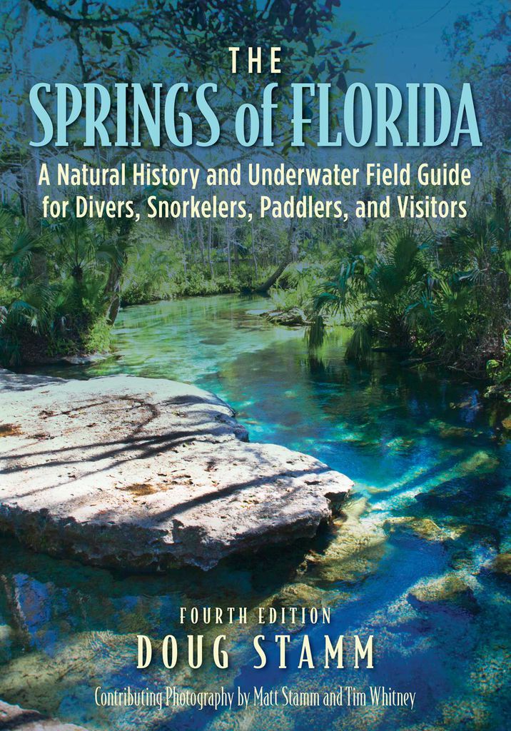 Cover image for The Springs of Florida