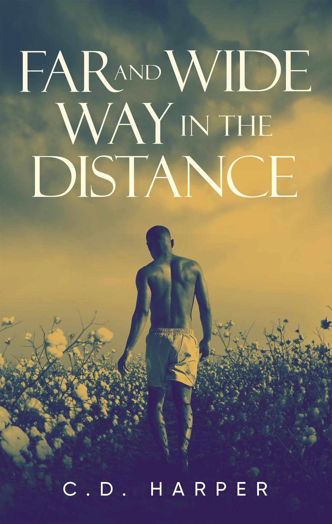 Cover image for Far and Wide, Way in the Distance
