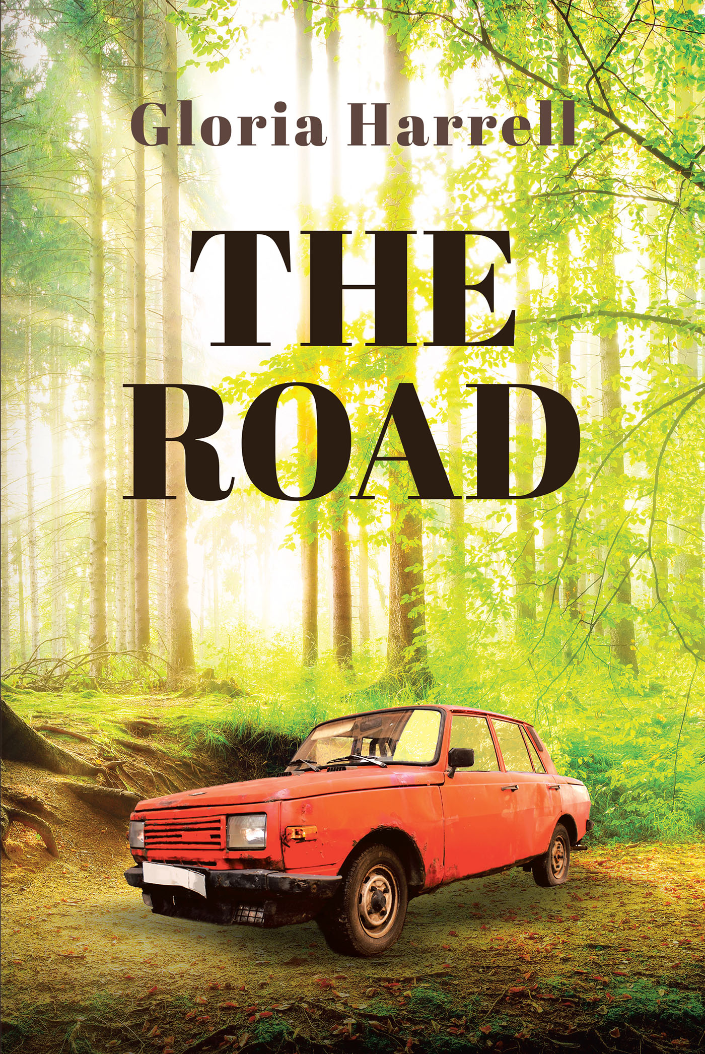 Cover image for The Road