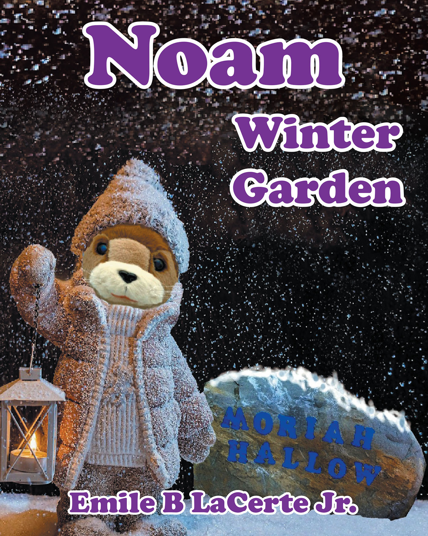 Cover image for Noam Winter Garden