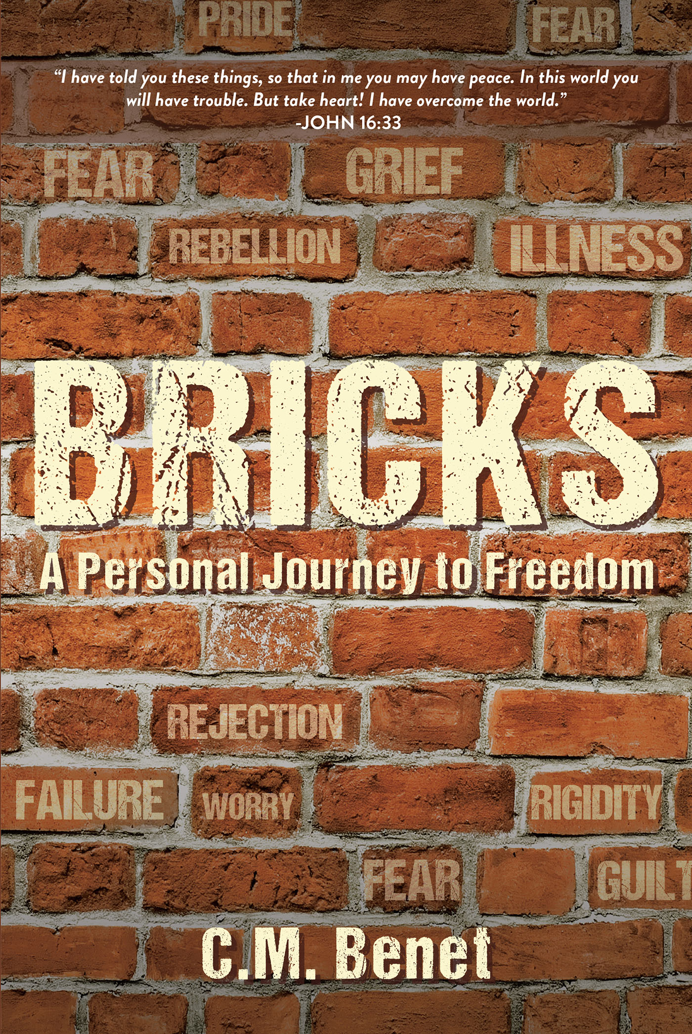 Cover image for Bricks