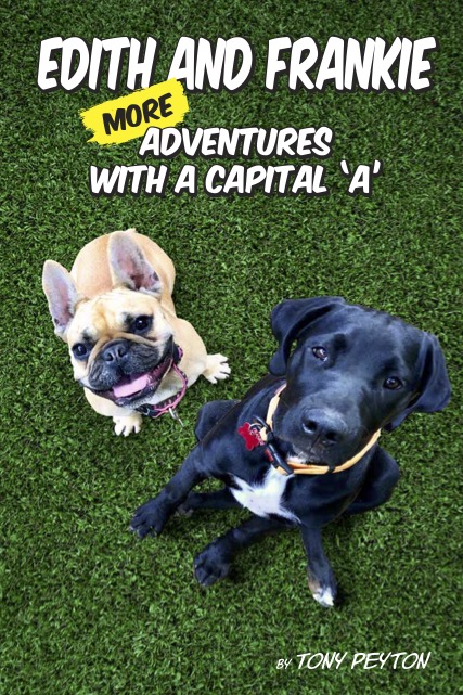Cover image for Edith and Frankie: More Adventures with a Capital A