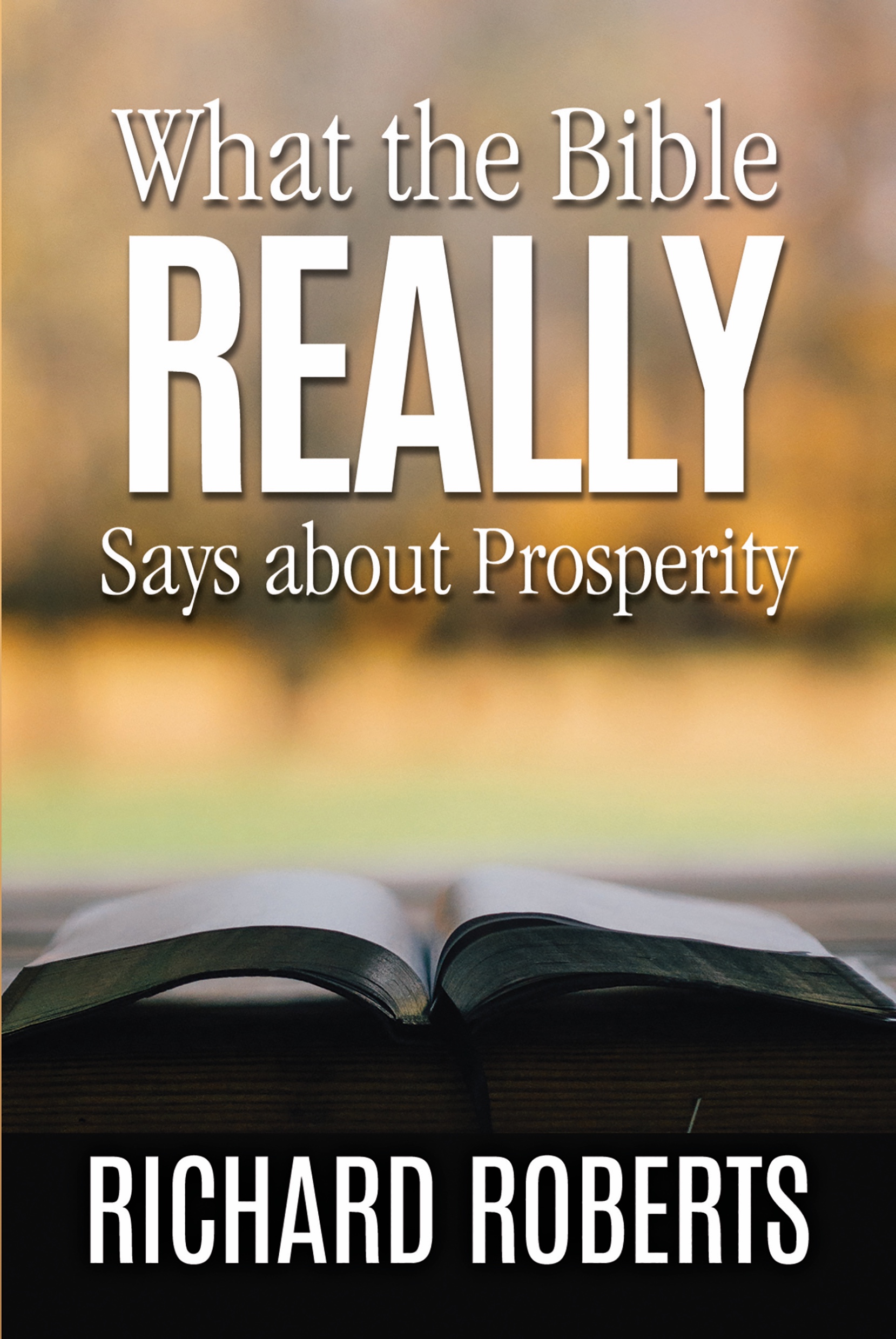Cover image for What the Bible REALLY Says about Prosperity