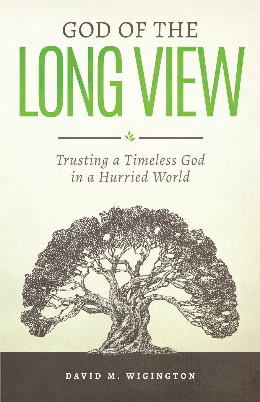 Cover image for God of the Long View