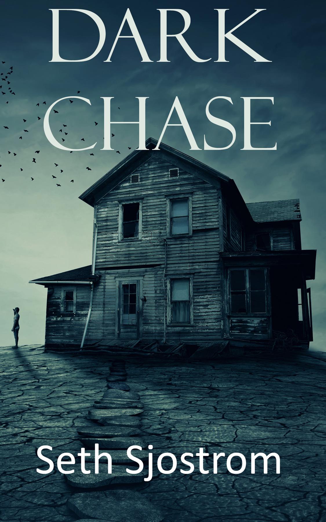 Cover image for Dark Chase
