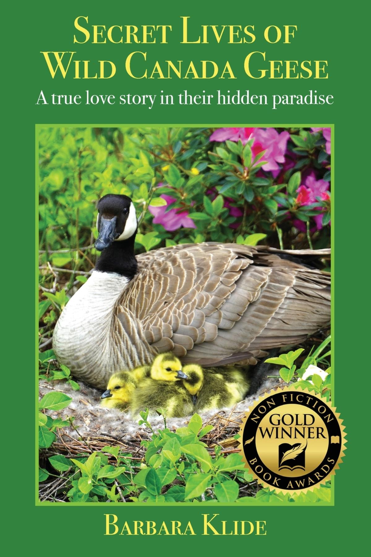 Cover image for Secret Lives of Wild Canada Geese