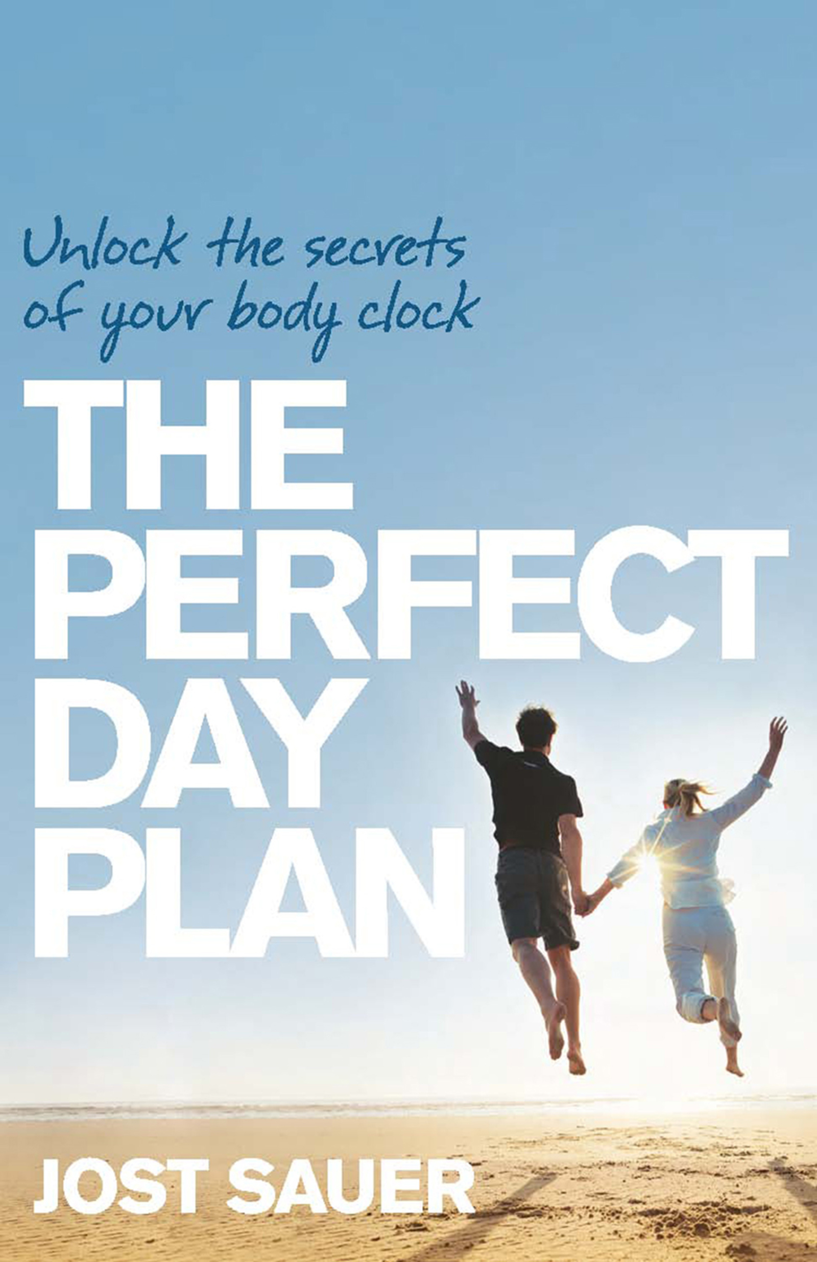 Cover image for The Perfect Day Plan