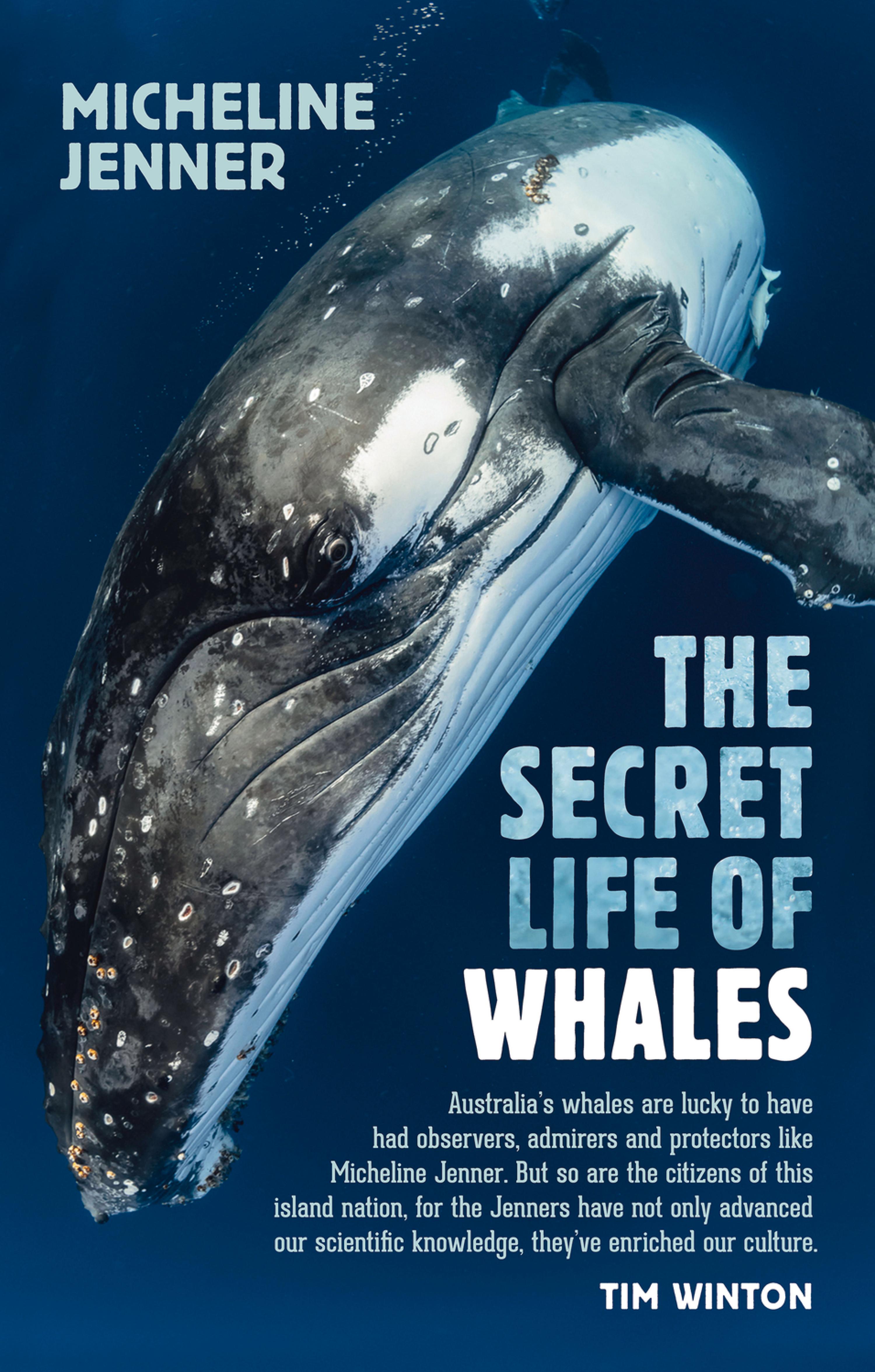 Cover image for The Secret Life of Whales