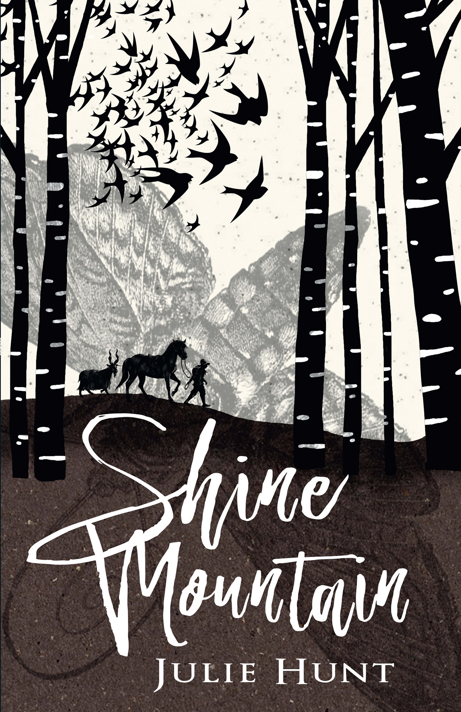 Cover image for Shine Mountain