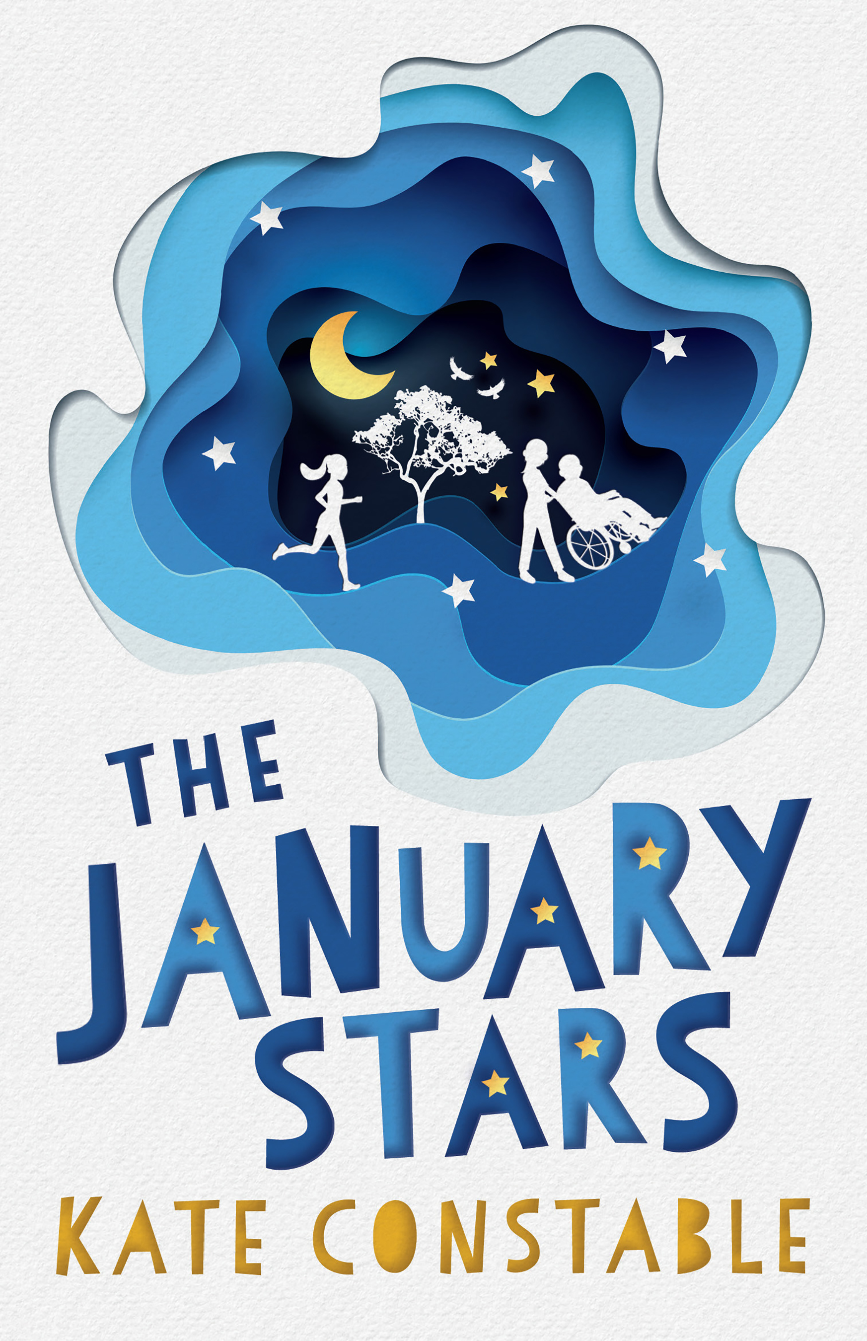 Cover image for The January Stars