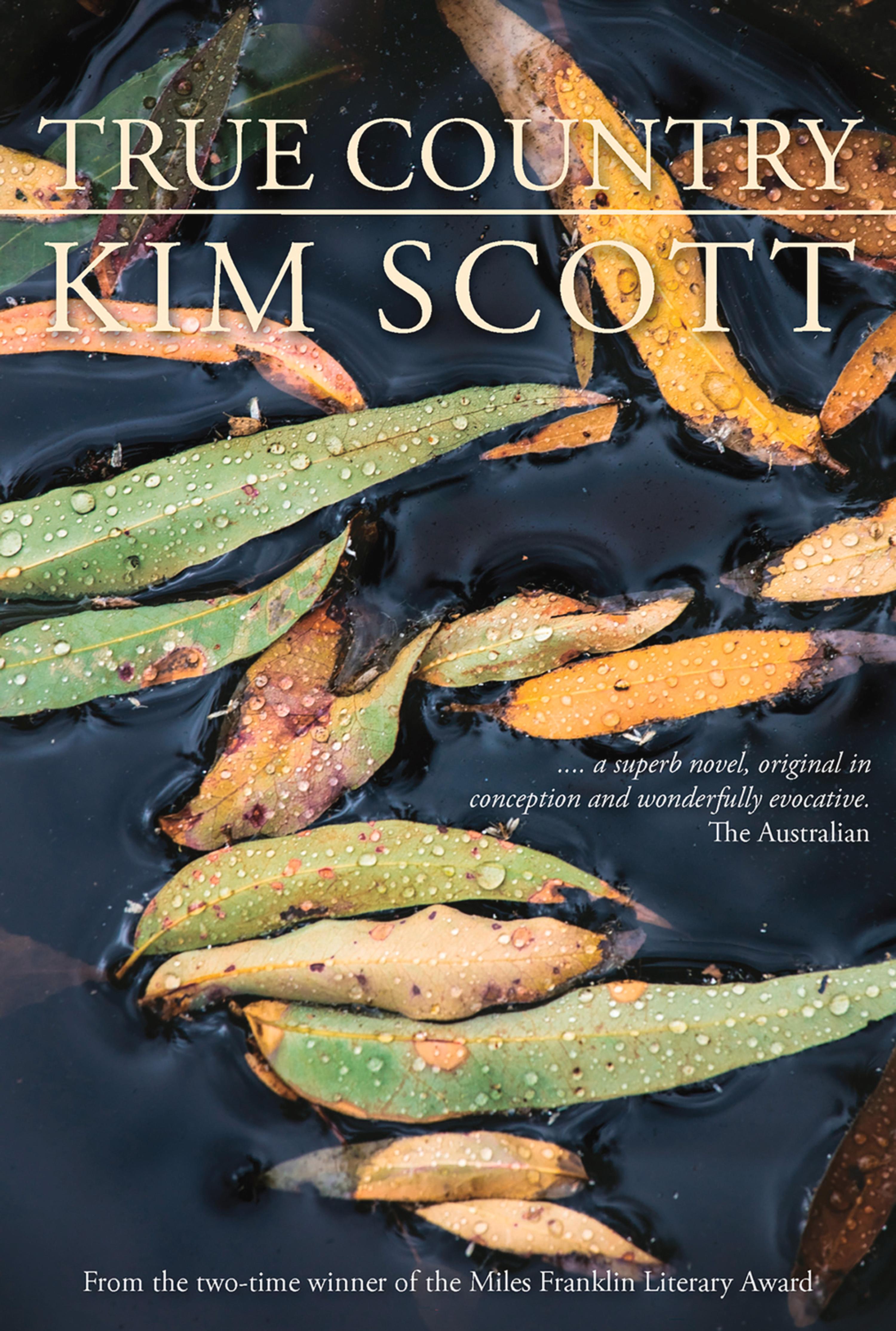 Cover image for True Country