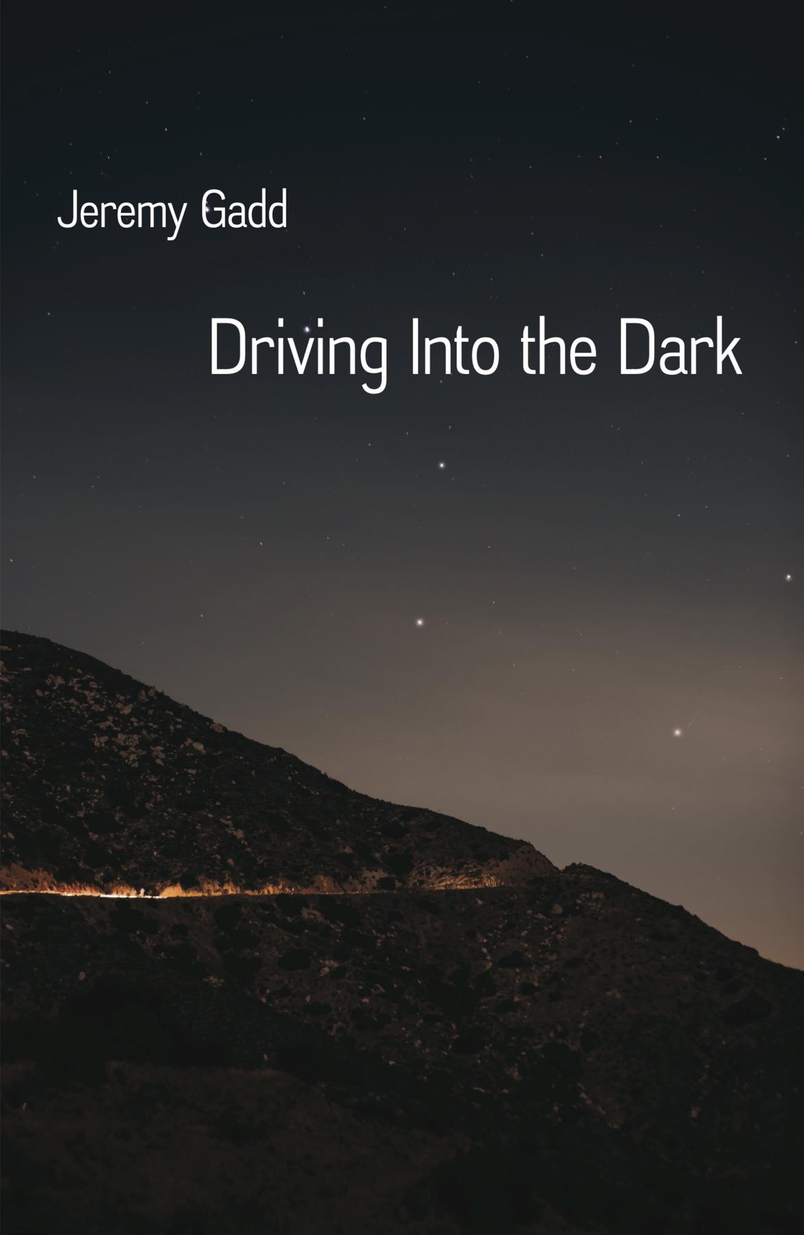 Cover image for Driving Into the Dark