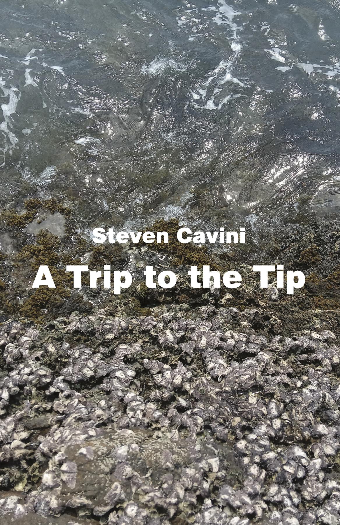 Cover image for A Trip to the Tip