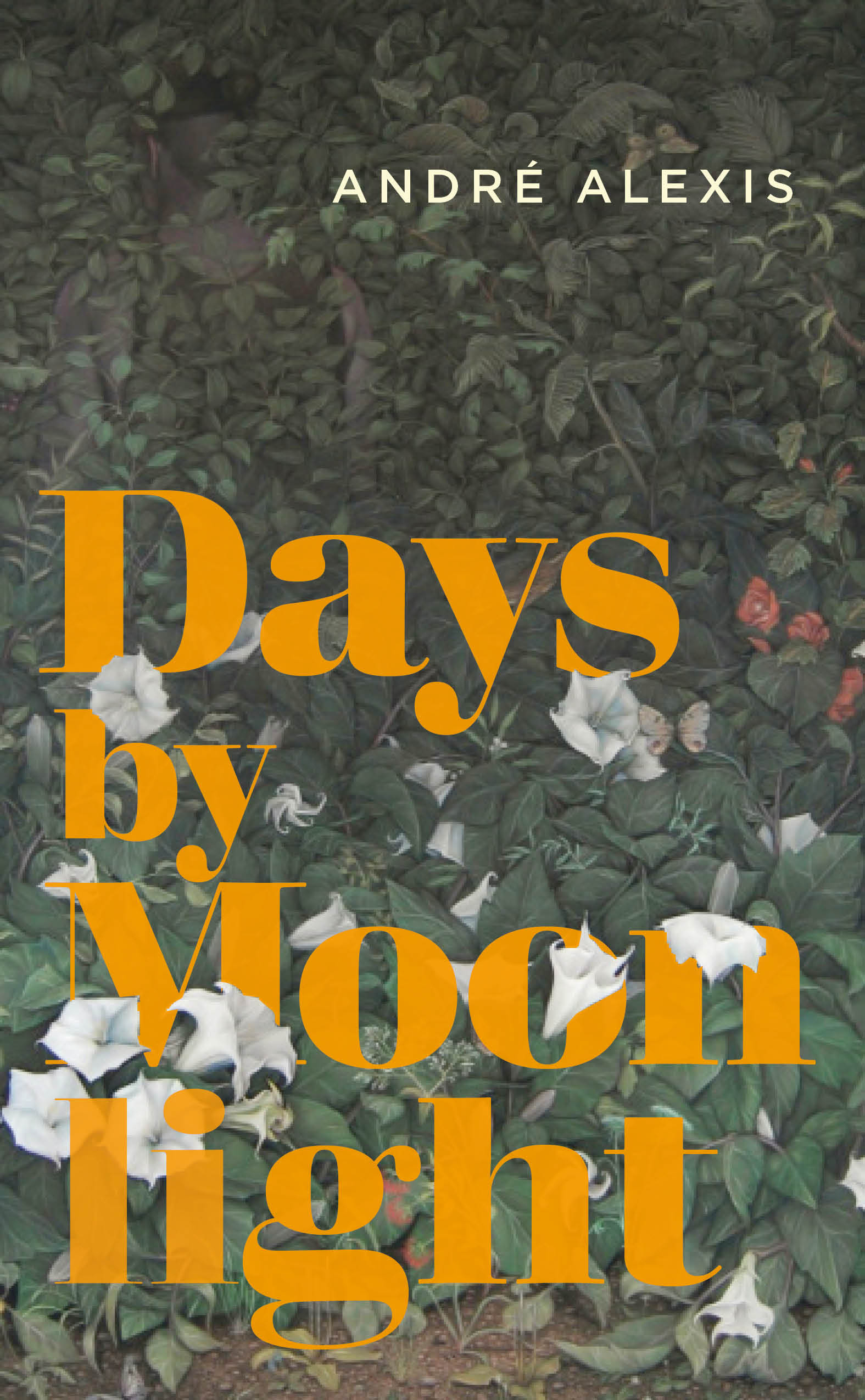 Cover image for Days by Moonlight