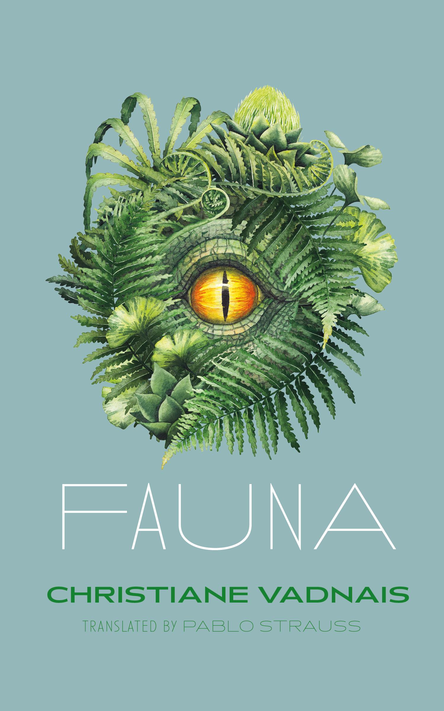 Cover image for Fauna