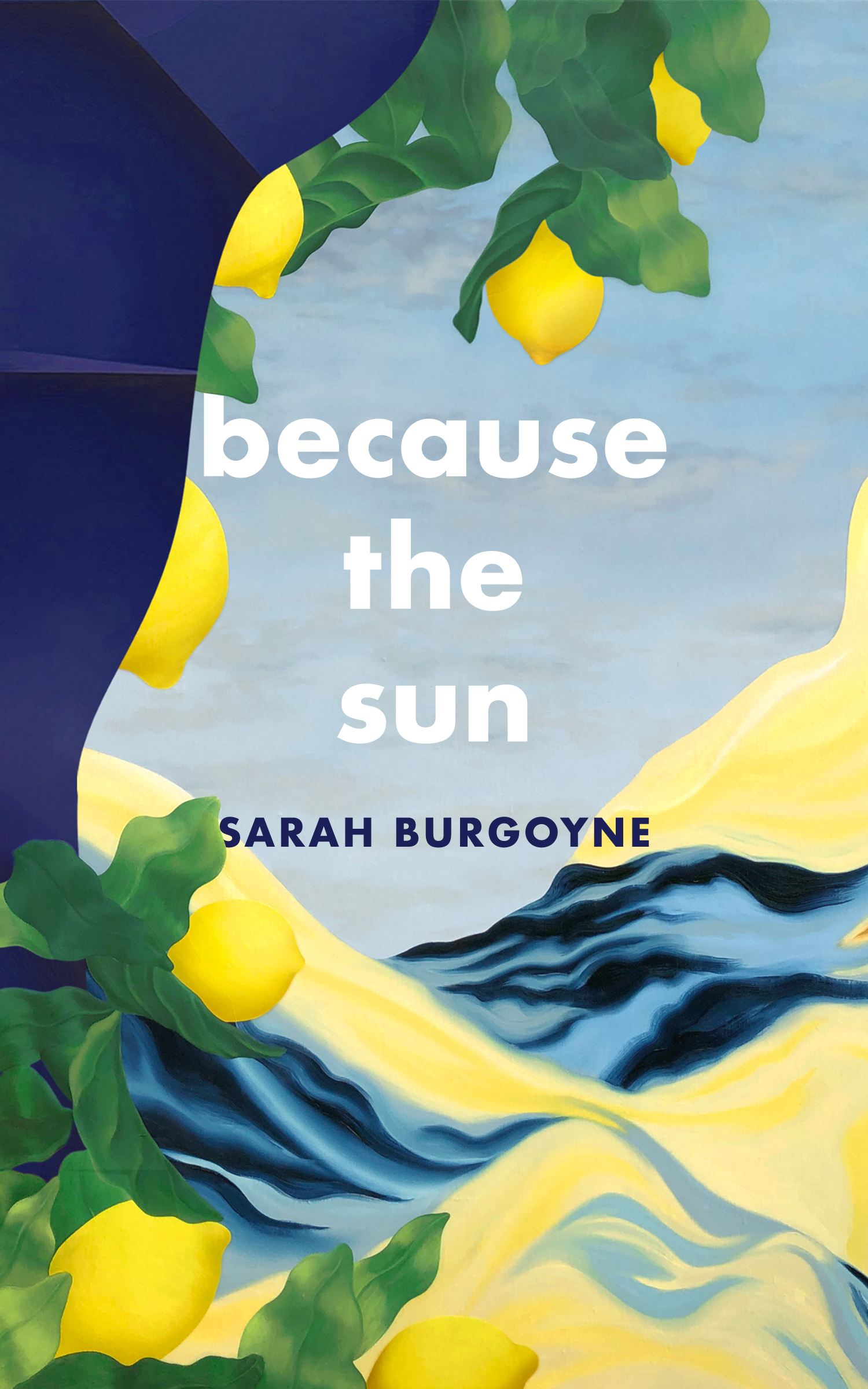 Cover image for Because The Sun