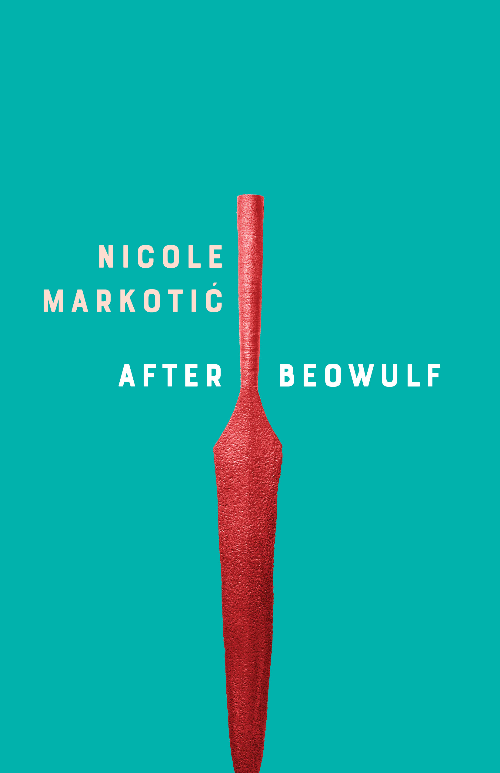 Cover image for After Beowulf