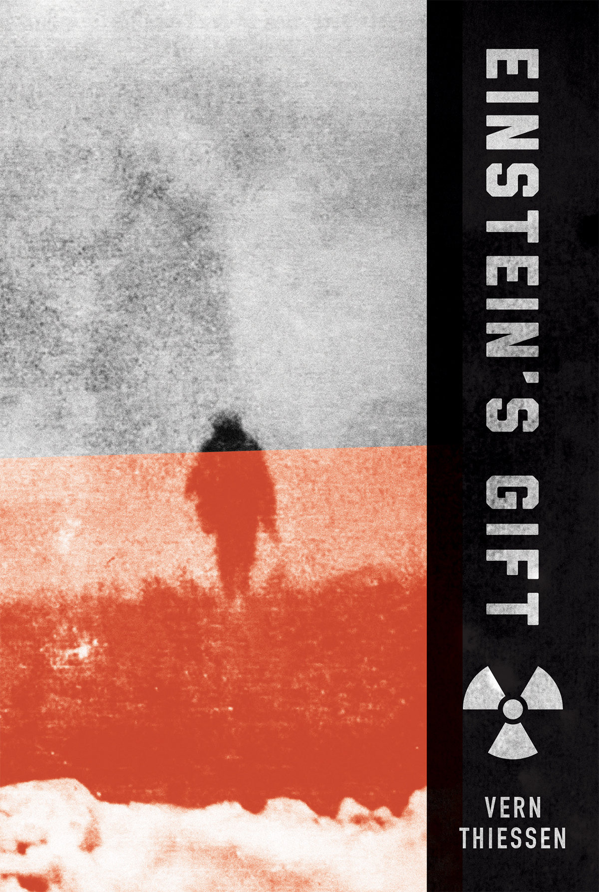 Cover image for Einstein's Gift