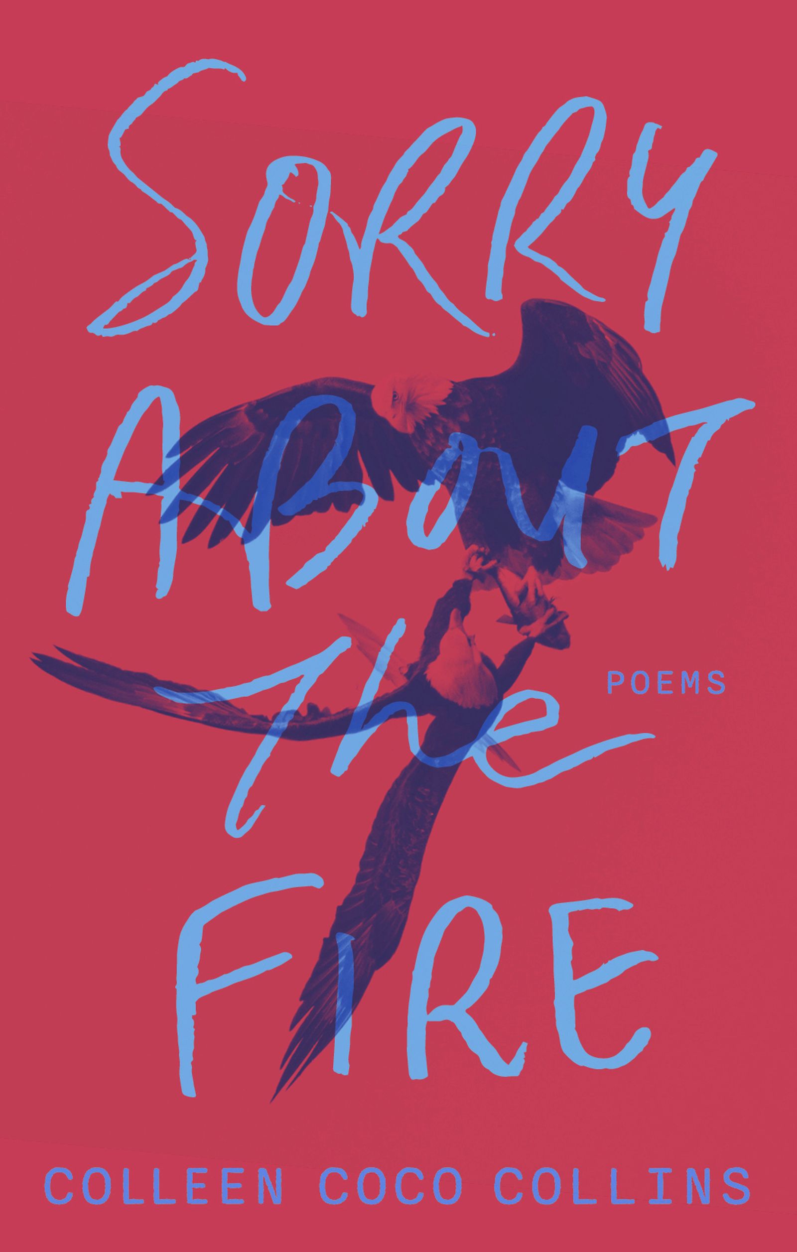 Cover image for Sorry About the Fire