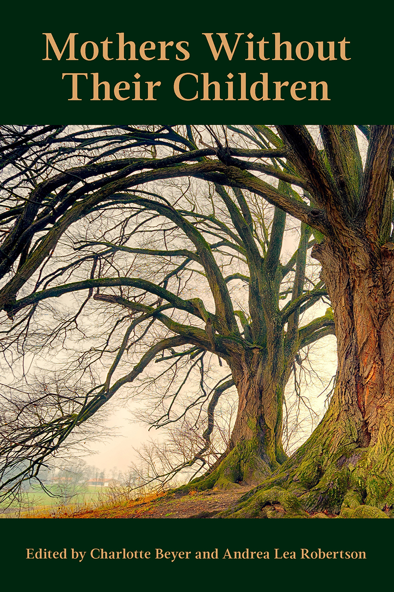 Cover image for Mothers Without Their Children