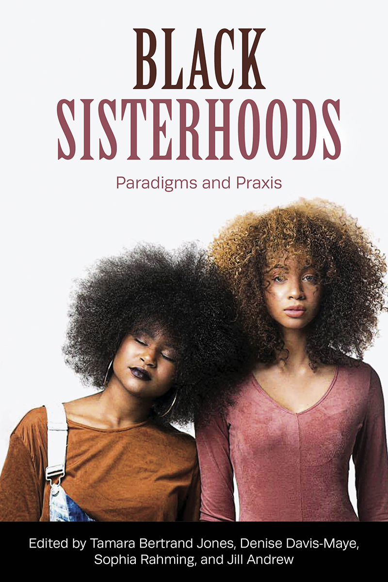 Cover image for Black Sisterhoods: Paradigms and Praxis