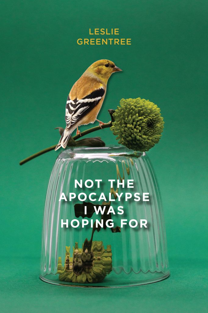 Cover image for Not the Apocalypse I Was Hoping For