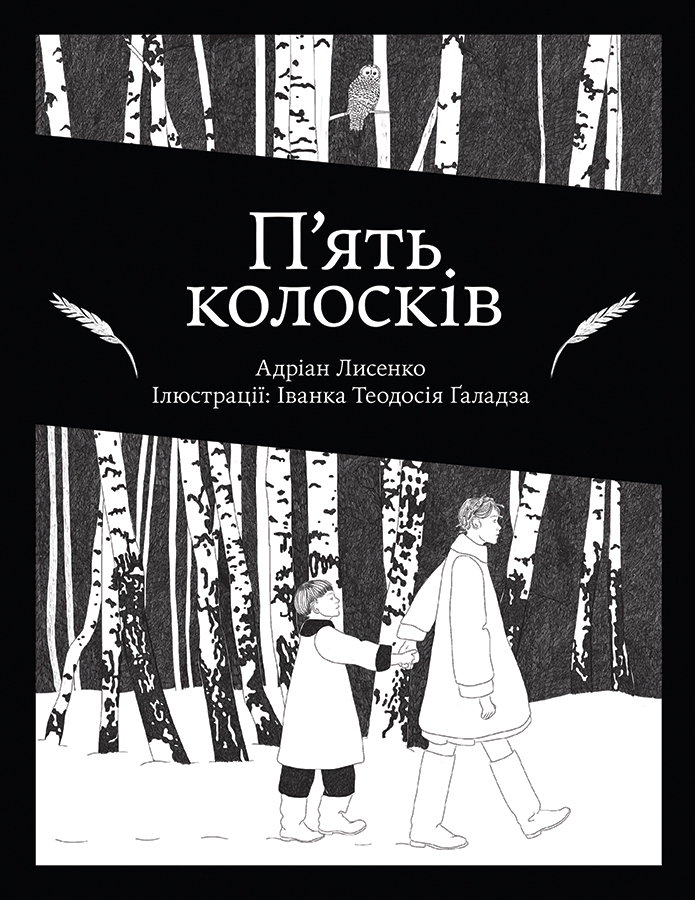Cover image for Piat koloskiv