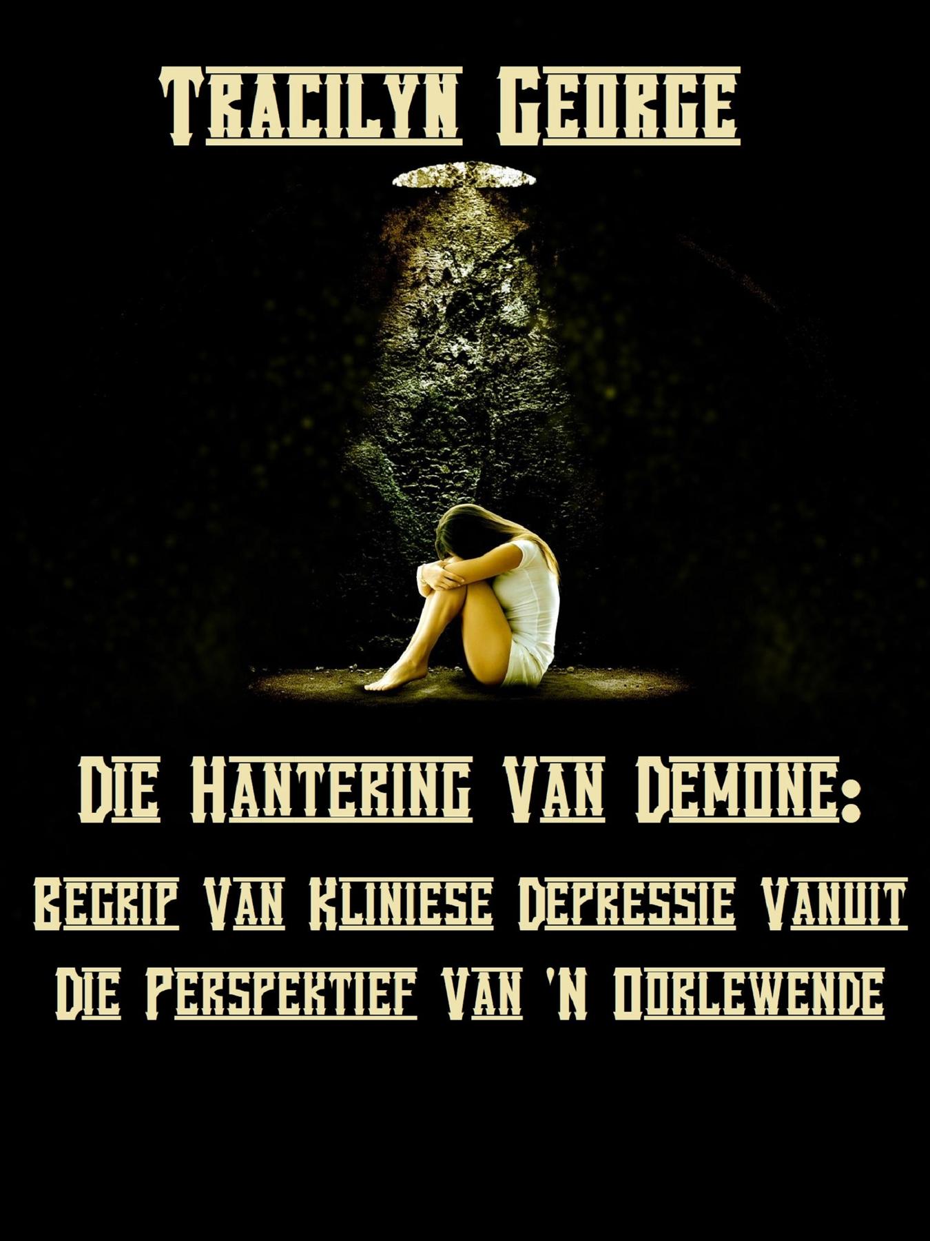 Cover image for Die Hantering Van Demone