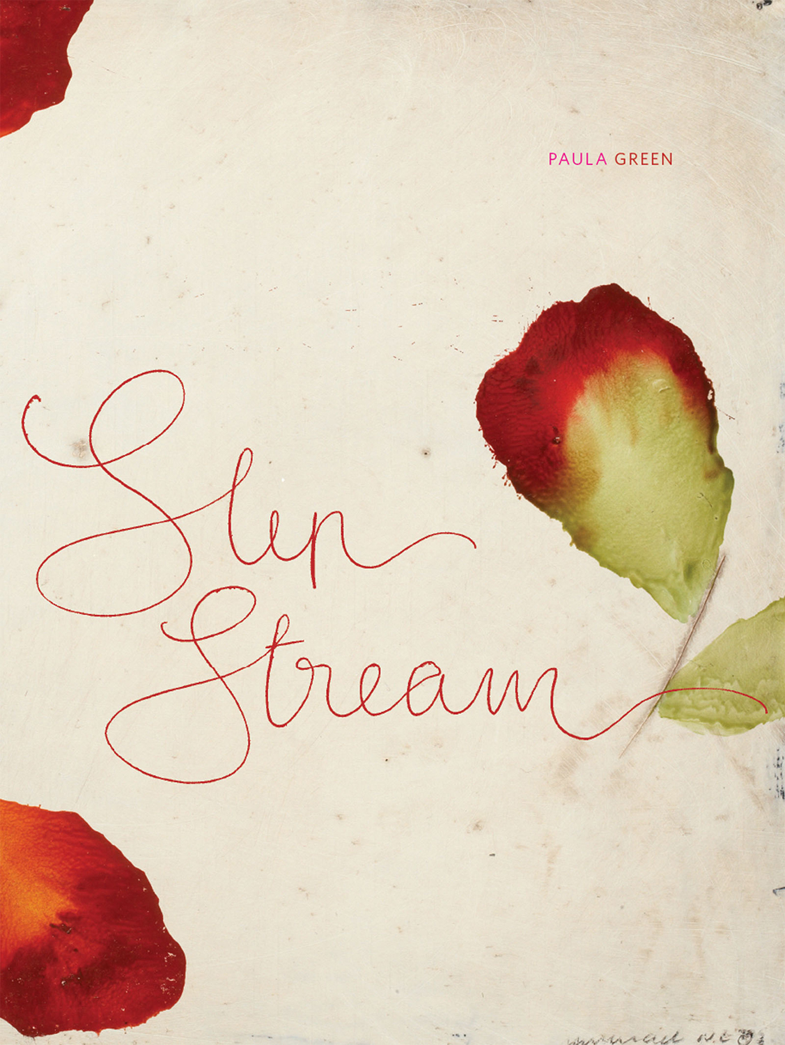 Cover image for Slip Stream