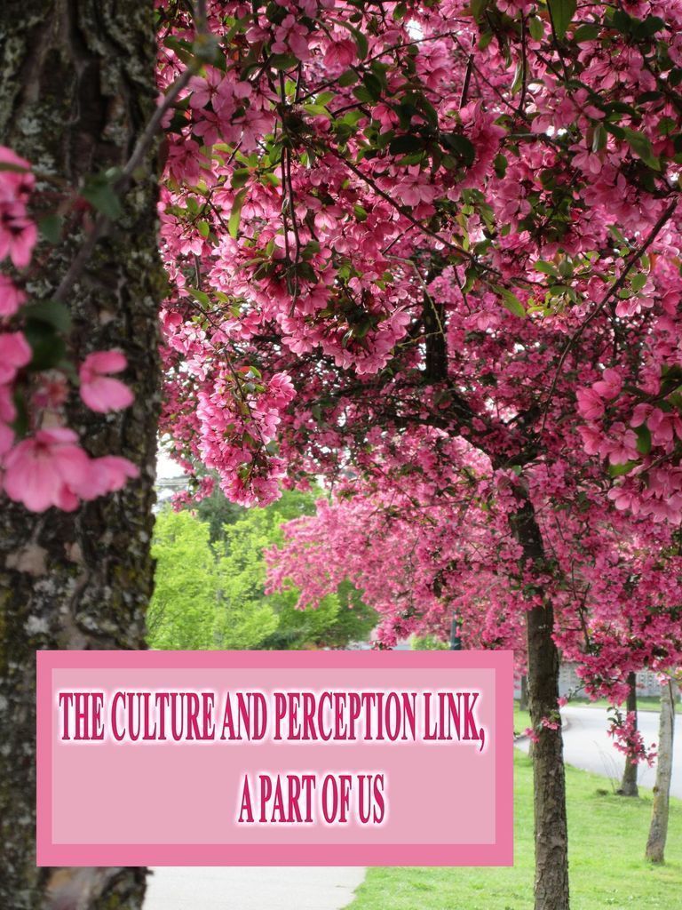 Cover image for The Culture and Perception Link, A Part of Us