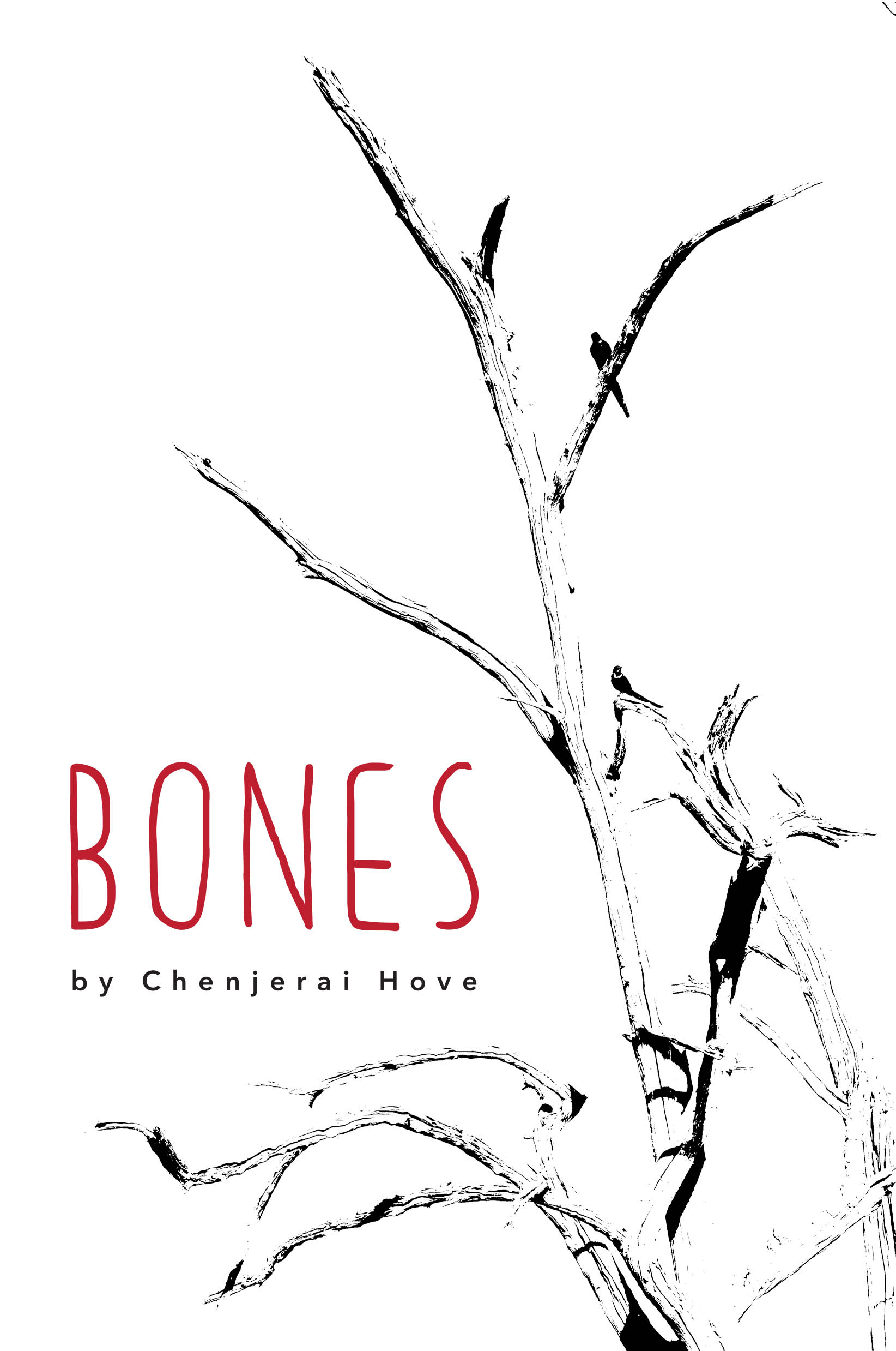 Cover image for Bones