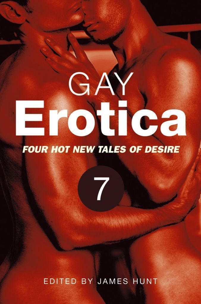 Cover image for Gay Erotica, Volume 7