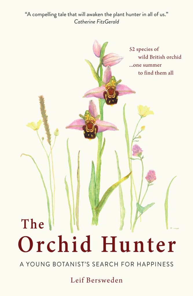 Cover image for The Orchid Hunter