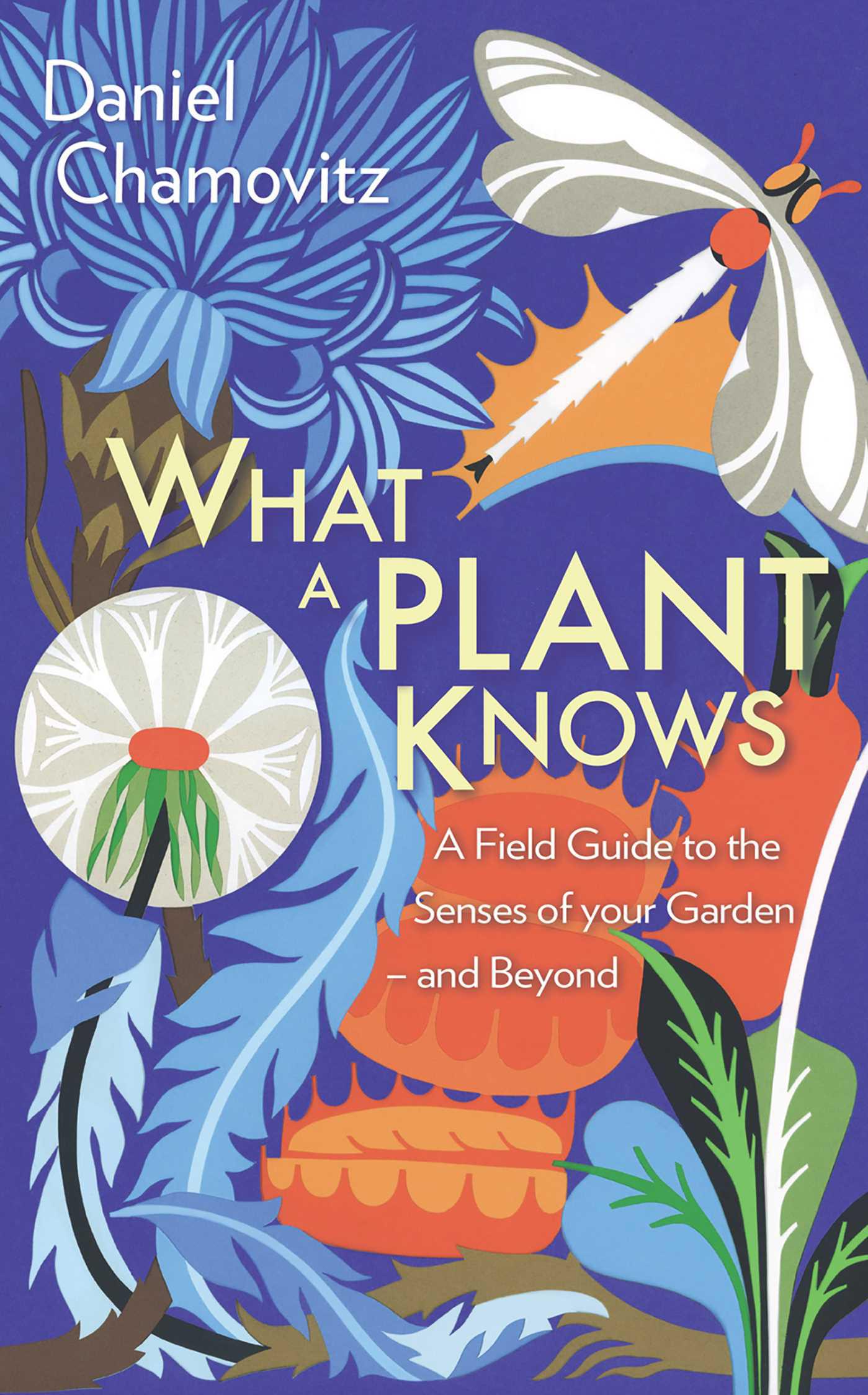Cover image for What a Plant Knows