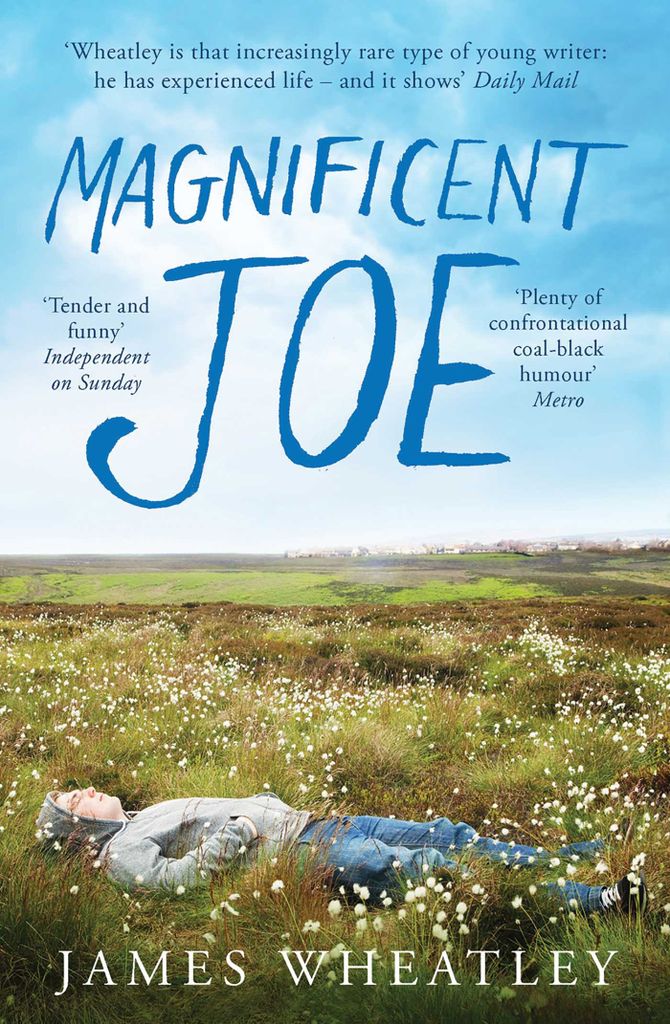 Cover image for Magnificent Joe