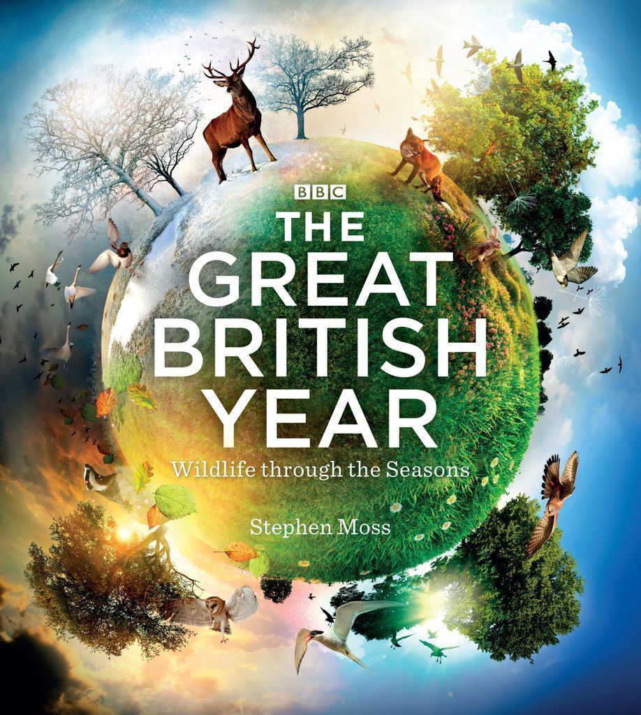 Cover image for The Great British Year