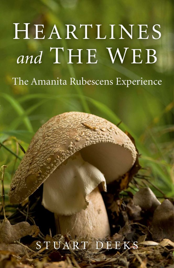 Cover image for Heartlines and The Web