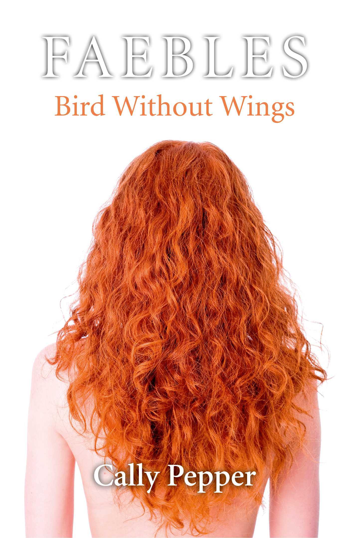 Cover image for Bird Without Wings