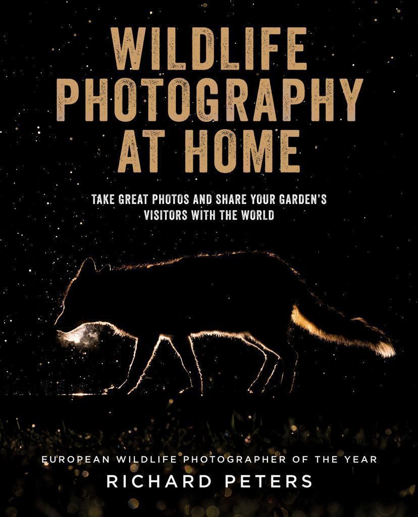 Cover image for Wildlife Photography at Home