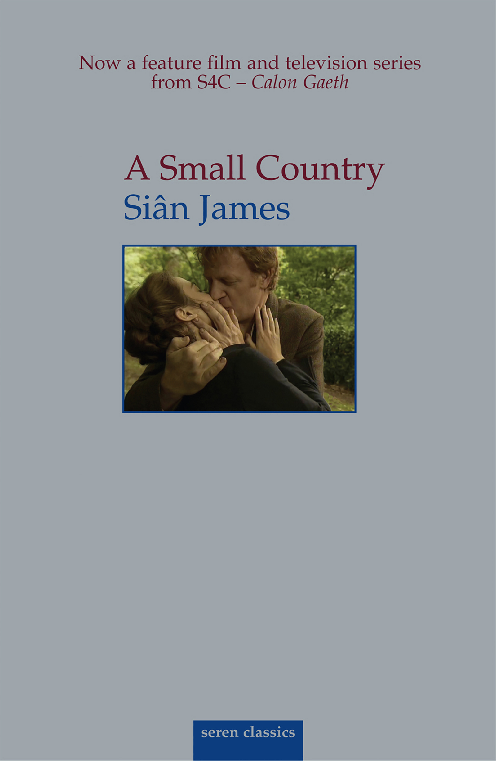 Cover image for Small Country