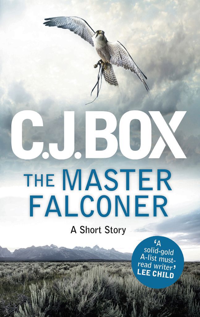 Cover image for The Master Falconer