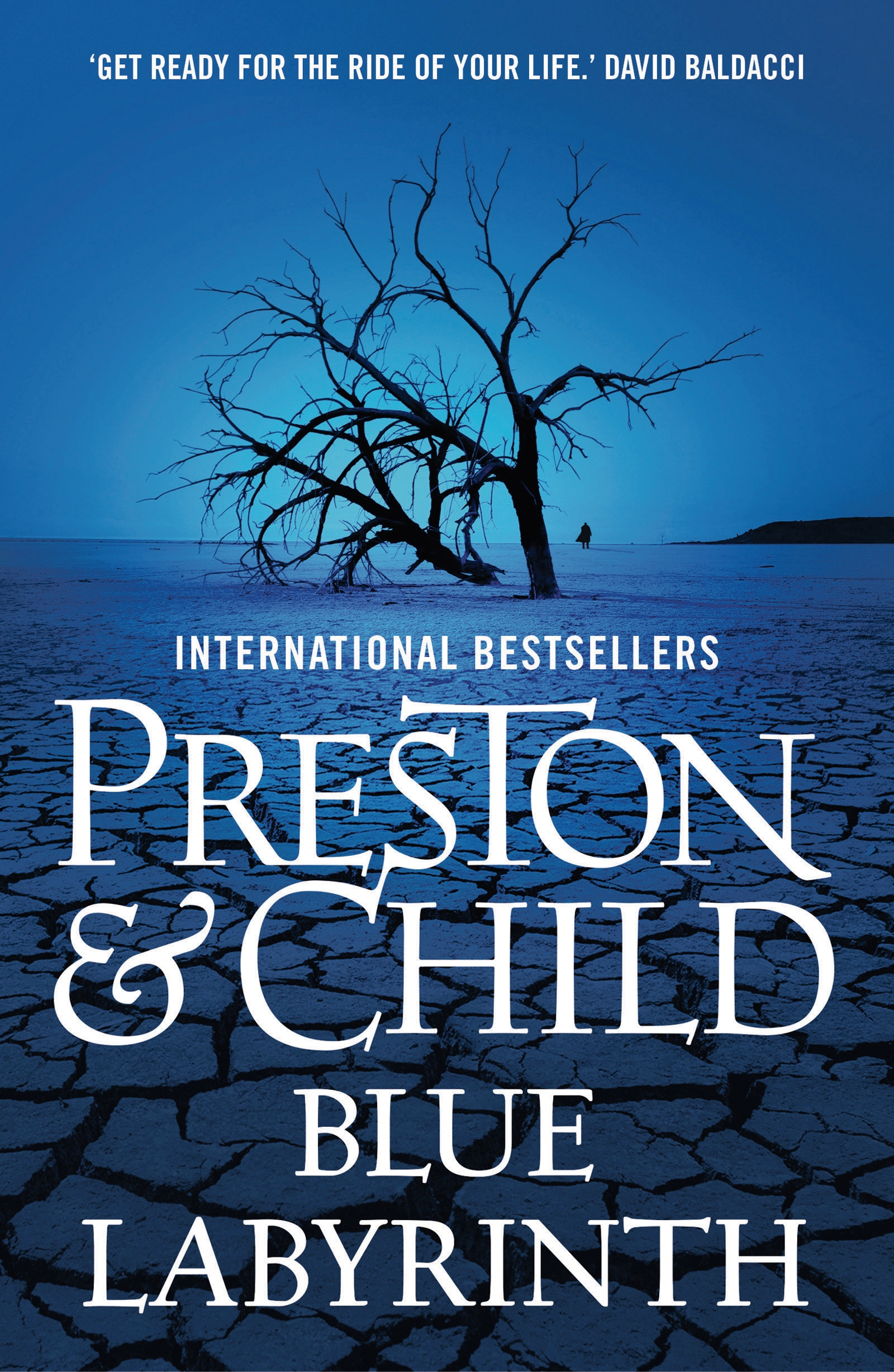Cover image for Blue Labyrinth