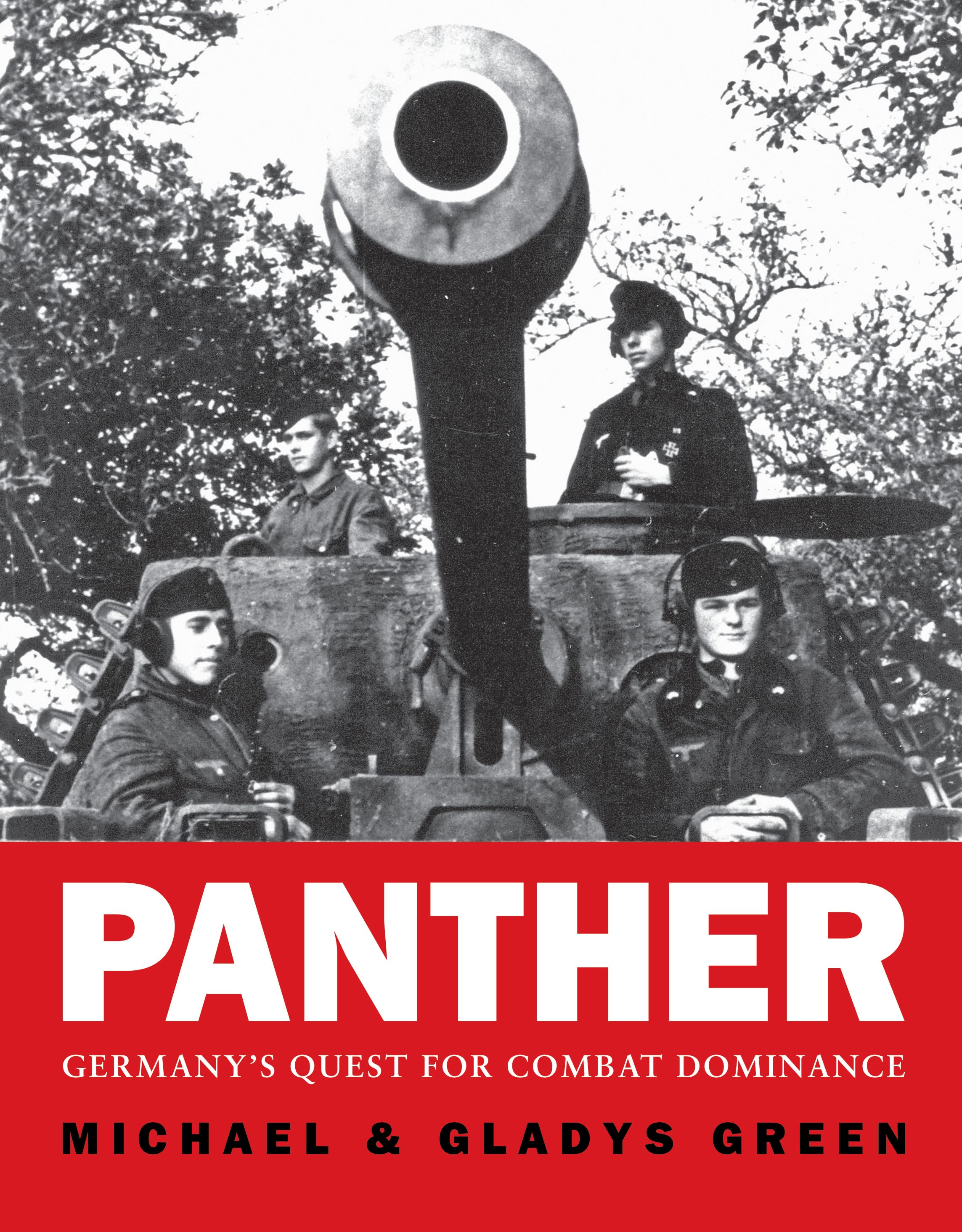 Cover image for Panther