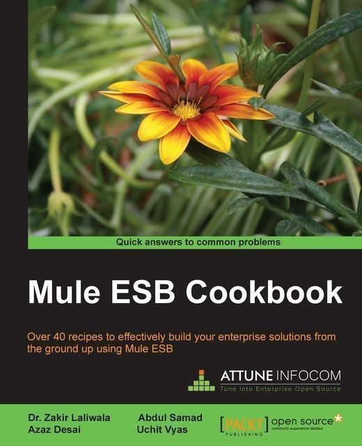 Mule ESB Cookbook