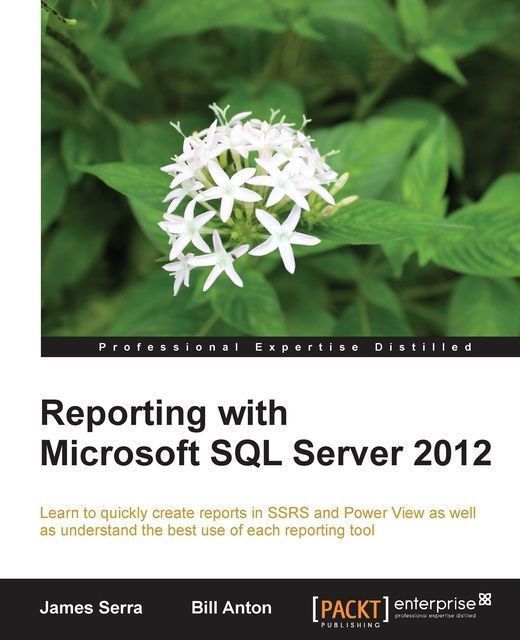 Reporting with Microsoft SQL Server 2012