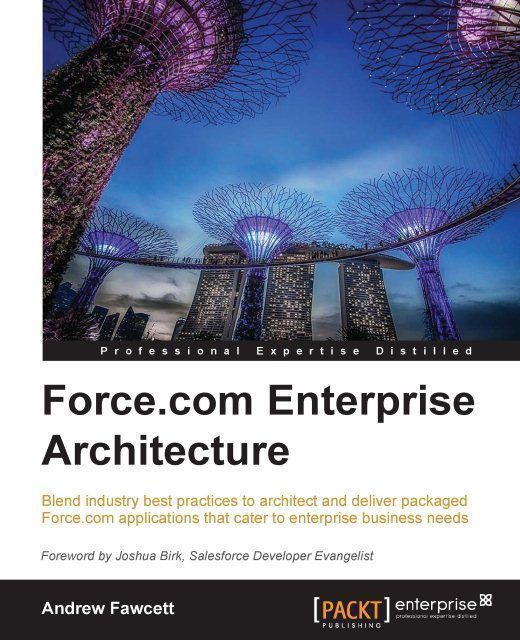 Force.com Enterprise Architecture