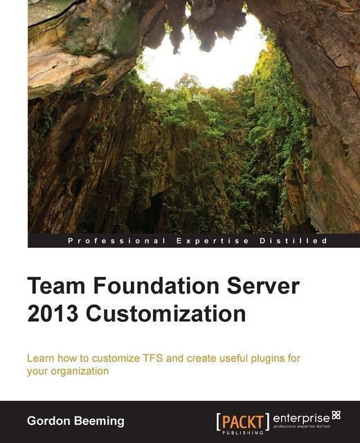 Team Foundation Server 2013 Customization