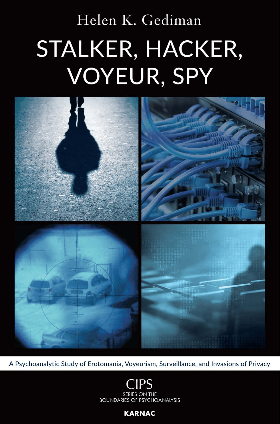 Cover image for Stalker, Hacker, Voyeur, Spy
