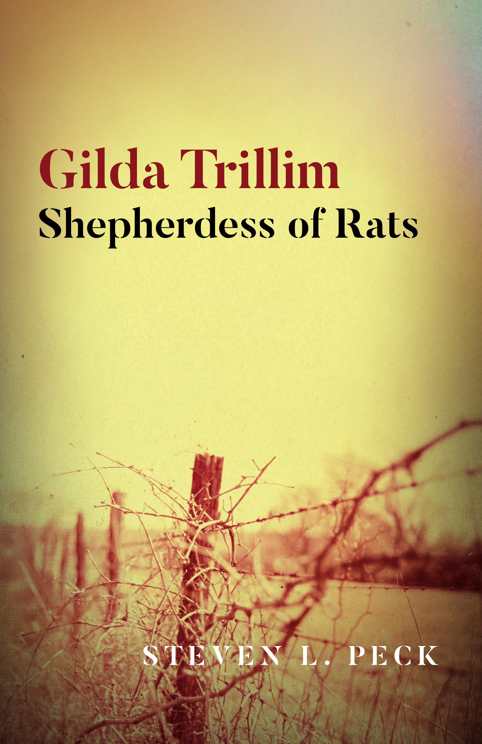Cover image for Gilda Trillim
